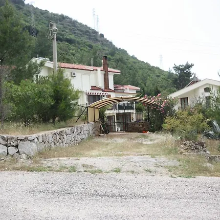 Naz Fethiye
